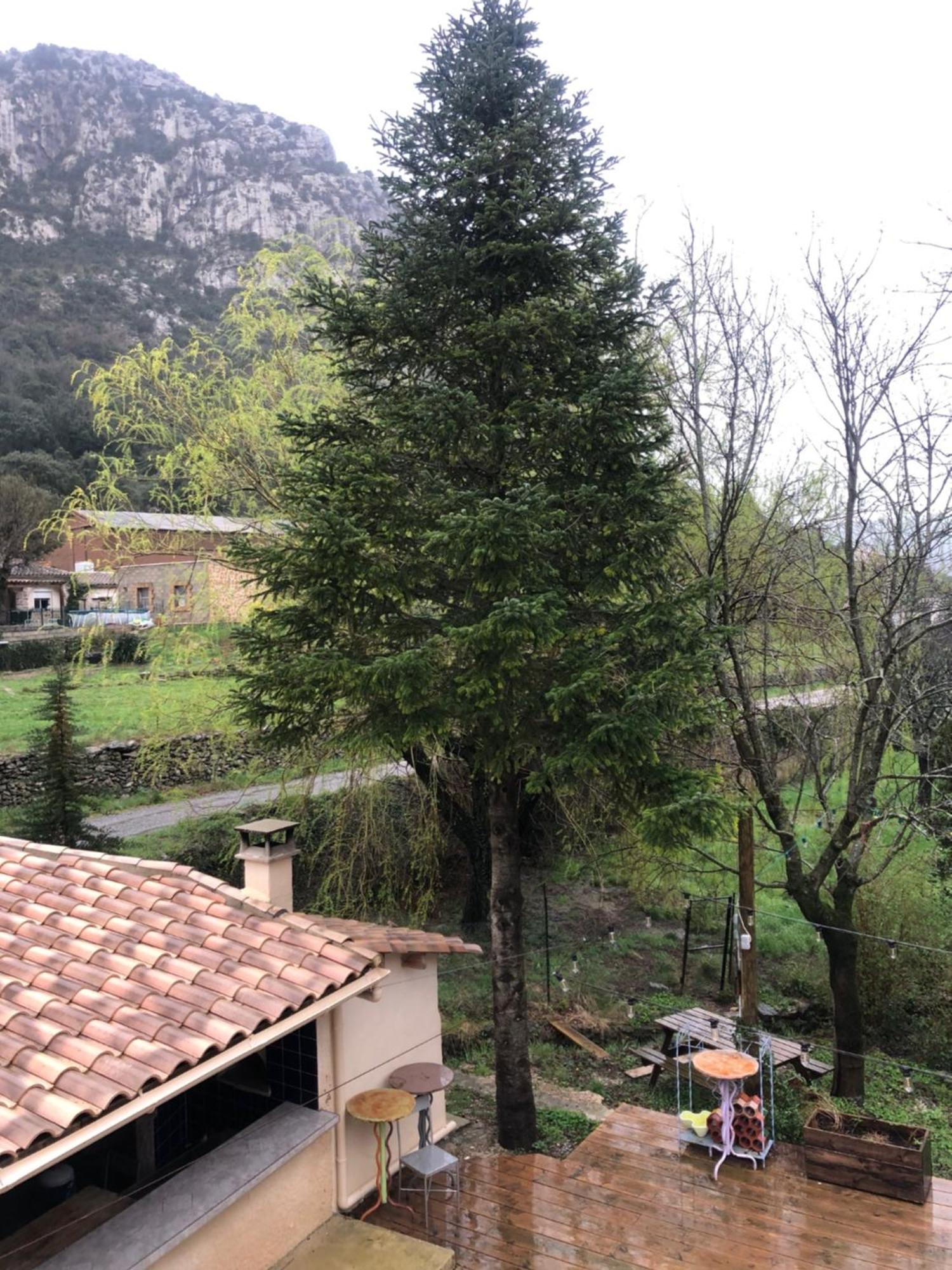 Auberge De La Vallee Saint-Jean-de-Buèges Esterno foto